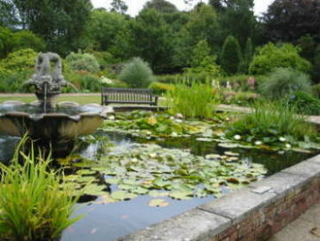 Ventnor Botanic Garden Isle of Wight